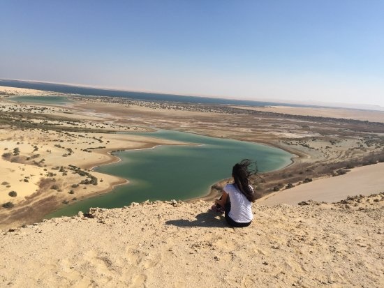 Tweedaagse excursie naar fayoum oase en wadi el Hitan vanuit Cairo