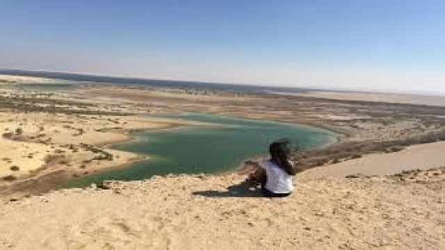 Wadi Al Hitan dag excursie vanuit Cairo