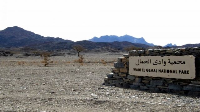 Wadi El Gemal Excursies in Marsa Alam