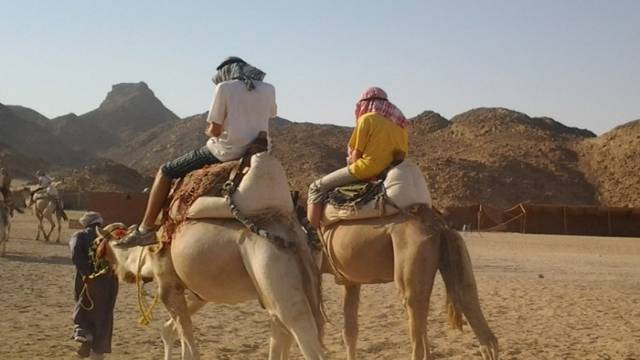 kameel rijden marsa alam dag tour