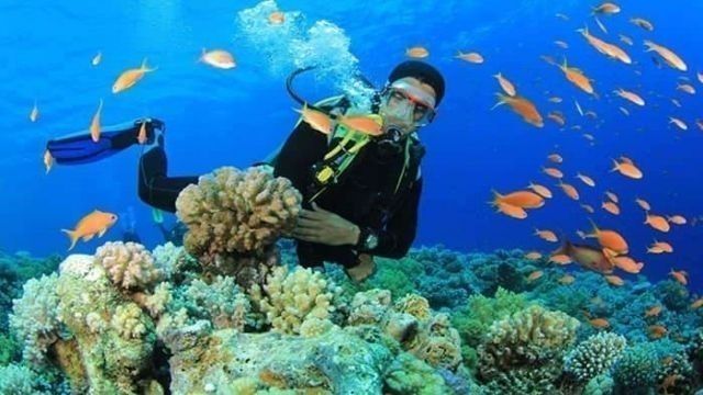 Wycieczka nurkowa wprowadzająca do Portghalib z Marsa Alam