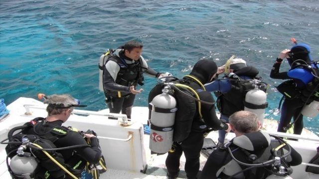 Wycieczka nurkowa wprowadzająca do Portghalib z Marsa Alam