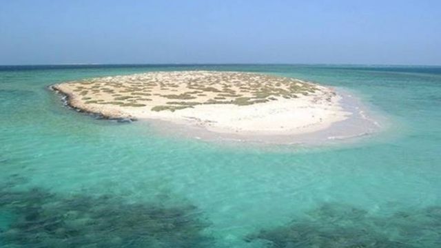 Wycieczka snorkelingowa na wyspy Hamata z Marsa Alam