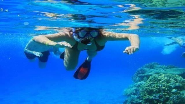 Wycieczka snorkelingowa na wyspy Hamata z Marsa Alam