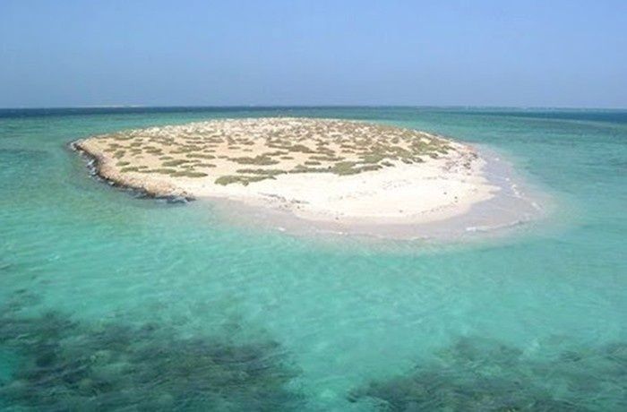 Wycieczka snorkelingowa na wyspy Hamata z Marsa Alam